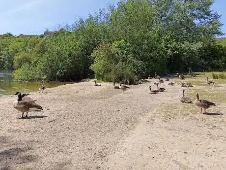 Foto de Chafford Gorges Nature Discovery Park Visitor Centre - Essex Wildlife Trust