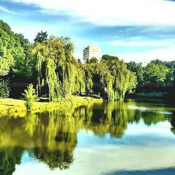 Photo de Park Chézine