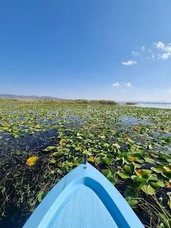 Photo de Beydilli Nilüfer Tekne Turu