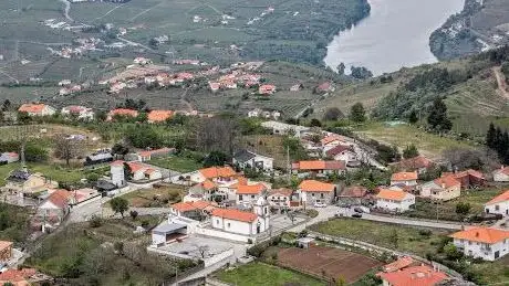Photo de Vista panorâmica sobre Douro Vinhateiro