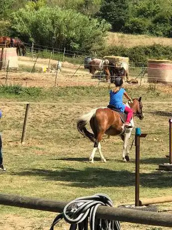 Photo de Il Ranch di Carlotta a.s.d.