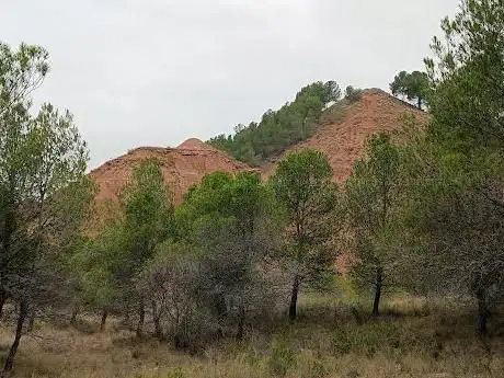 Photo de Los agudos