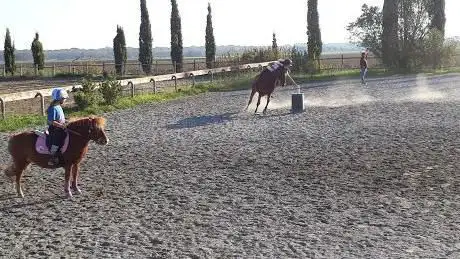 Photo de Pony Country Club ex Campalto Pony