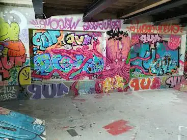 Photo de Zoo Art show