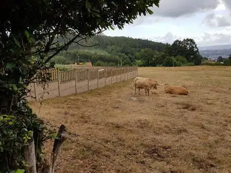 Photo de Camiño O Cha De Brión