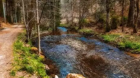 Photo de Schlücht