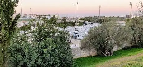 Photo de Quinta da Palmeira