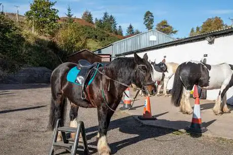 Photo de Achnalarig Riding Stables