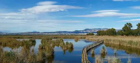 Photo de El Hondo PUERTA NORTE Natural Park