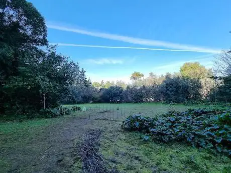 Photo de Bosco di Cancello Rotto