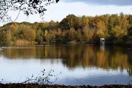 Photo de Sentier de la Mare aux Pretres