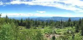 Photo de Aussichtsplattform Lotharpfad