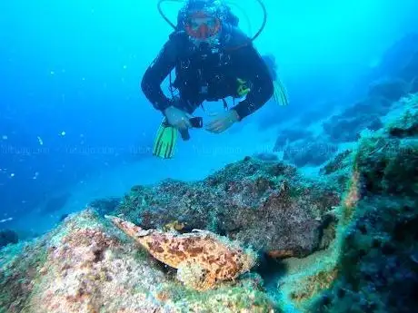 Photo de Pelagos Diving Center