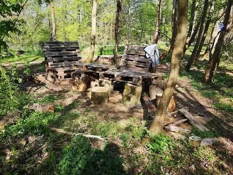 Photo de MTB Park Phoenix Riegelsberg im Lampennest