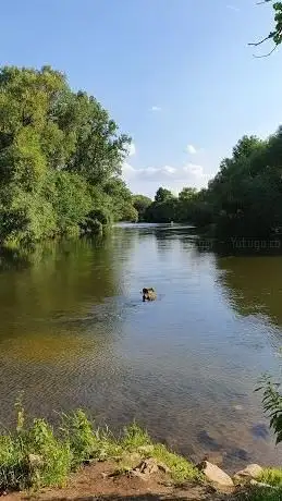 Photo de Geburt der Regnitz
