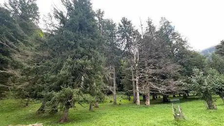 Photo of Arboretum de Joueou