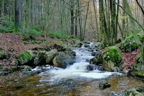 Photo de La Chefnâ