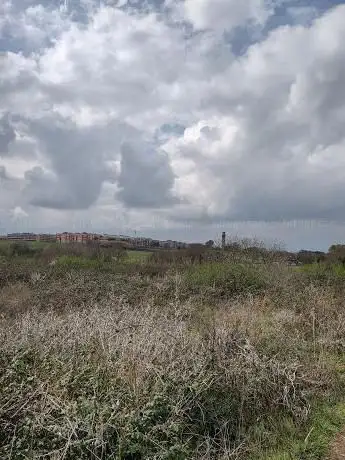 Photo de Collinetta Libera