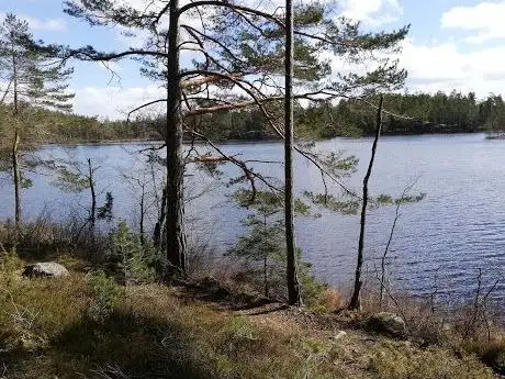 Photo de Strussjöskogen