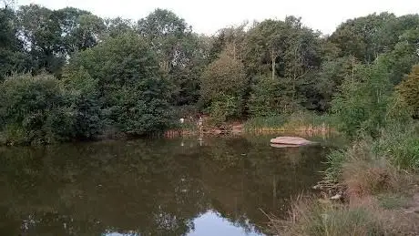Photo de Whytell Pool & Meadows