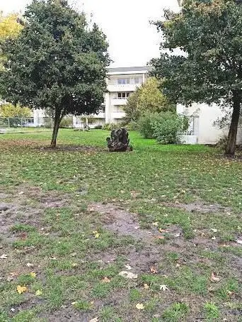 Photo de ta SÅ“ur Garden