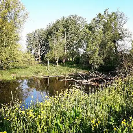 Photo de Bodrio Vacchelli