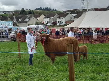 Photo de Neilston Show Field