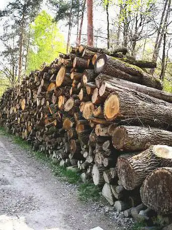Photo de Maison forestière montgeron