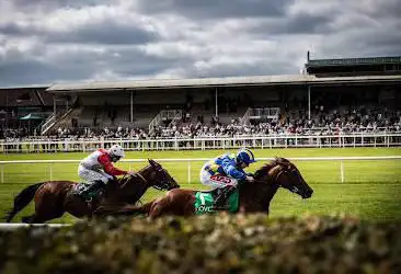 Navan Racecourse