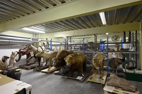 Photo of Museum Collection Centre  Birmingham Museums Trust