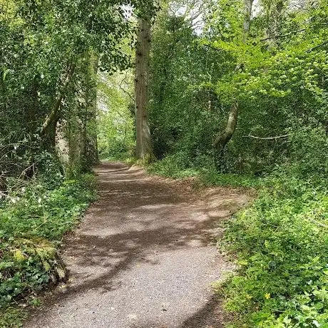 Townley Hall Woods