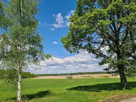 Photo de Billingen