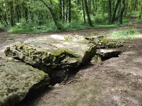 Photo de Allée couverte de Dampsmesnil