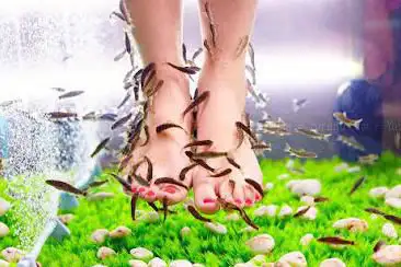 Photo de Le Fish Spa - Fish pédicure Aix les Bains