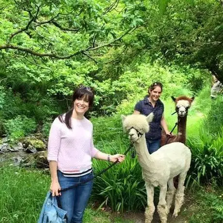 Photo de Waterfall Alpaca Farm (by appointment only)