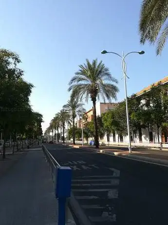 Photo de Paseo Virgen de la Merced
