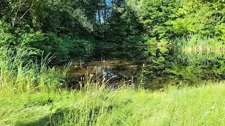 Photo de Umweltgarten