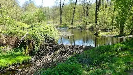 Photo de Nettebrücke Sassenfeld