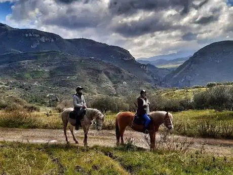 Photo de Horse Trekking Sicily