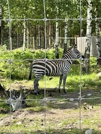 Photo de Ingelstad djurpark