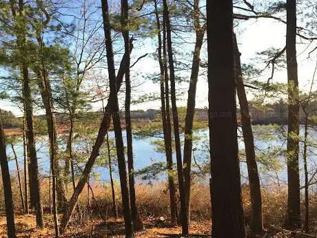 Photo de Mass Audubon's North Hill Marsh Wildlife Sanctuary