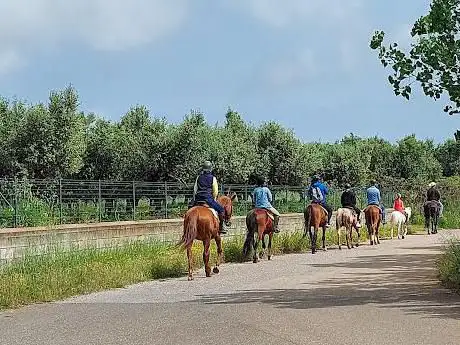 Photo de Cutura Ranch