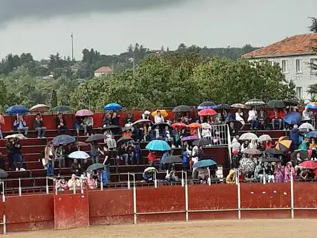 Photo de Cigüeñas Park