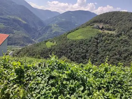 Photo de Weg Nr. 6 Oberbozen-Bozen