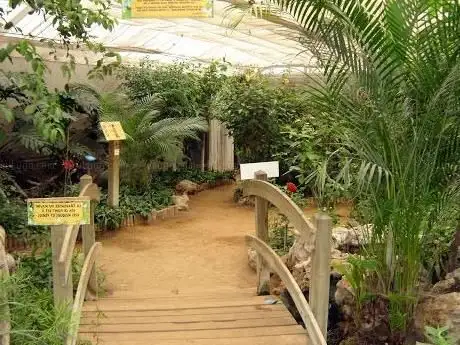 Photo de La Serre Aux Papillons