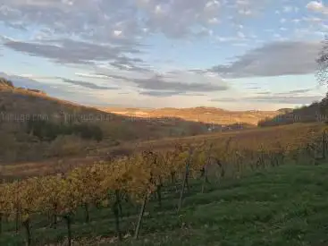 Foto de Sentier des Casemates