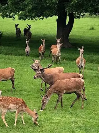 Photo de British Wildlife Centre