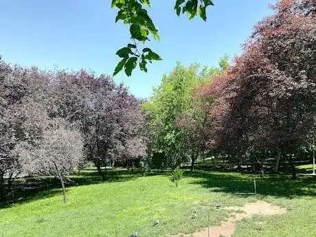 Photo de Orange Blossom Park