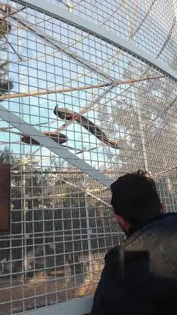 Photo de Giardino Zoologico - Plastic Puglia