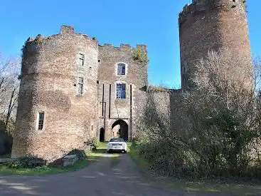 Photo de Château de Châteaubrun